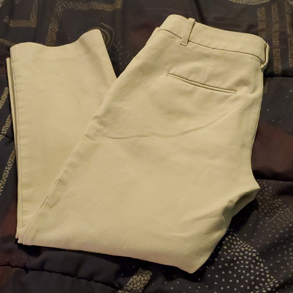 Ann Taylor pants